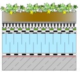 2.2.1. Dach zielony intensywny z termoizolacją z BITERM<sup>®</sup>