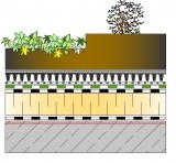 2.2.3. Dach zielony intensywny z termoizolacją z  XPS