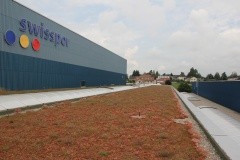 swisspor GREEN System ekstensywny o układzie tradycyjnym